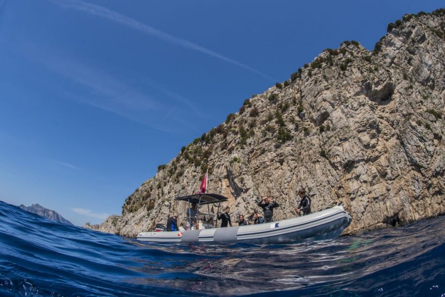 Sorrento: Snorkeling morning tour with a Marine Biologist. - What You Actually Get for the Price