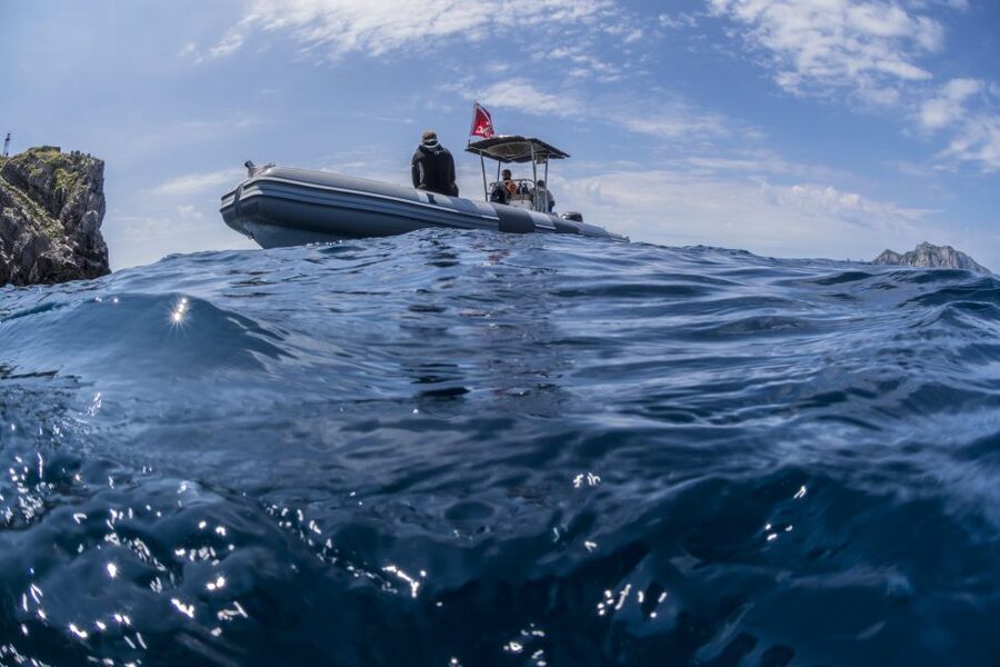 Sorrento: Snorkeling morning tour with a Marine Biologist. - Practical Tips That Make the Most of Your Time