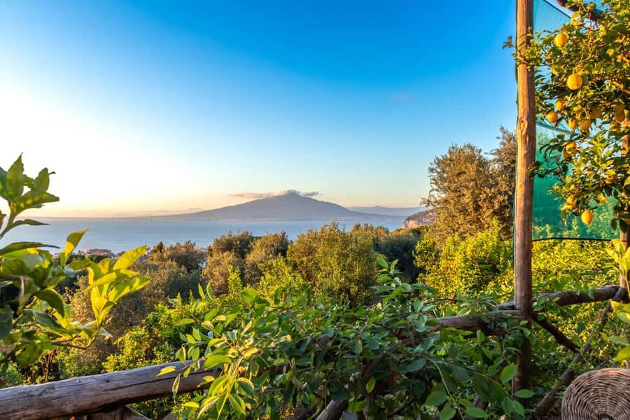 SORRENTO: Sunset Limoncello Making After-Dinner Experience - The Sunset Setting: Why This Garden Timing Works