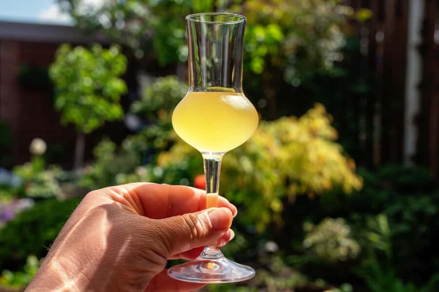 SORRENTO: Sunset Limoncello Making After-Dinner Experience - Tasting What You Made, Then Finishing with Tiramisu al Limoncello