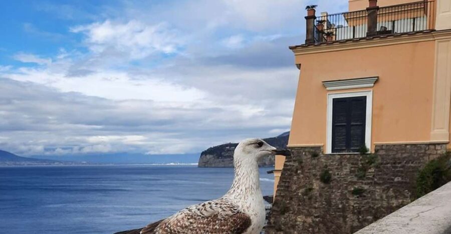 Sorrento: walking in the Grand Tour with stunning landscapes - Hotel Bellevue Syrene, the Mermaids myth, and a Grand Tour mood