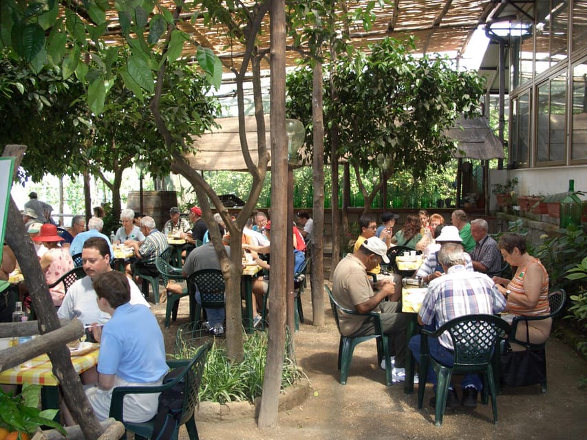 Sorrento: Walking Tour in Lemon Garden w/ Food Tasting - The Tasting Table: Cheese, Tomatoes, Bruschetta, Bread, and Wine