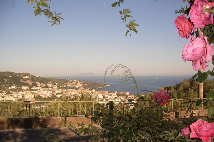 Sorrento: Walking Tour in Lemon Garden w/ Food Tasting - Price and Logistics: Why $81 Can Feel Like a Bargain