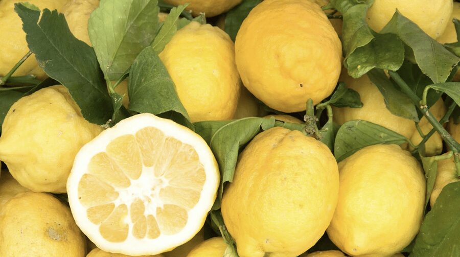 Sorrento: Walking Tour in Lemon Garden w/ Food Tasting - Getting to Vallone dei Mulini, and What to Wear
