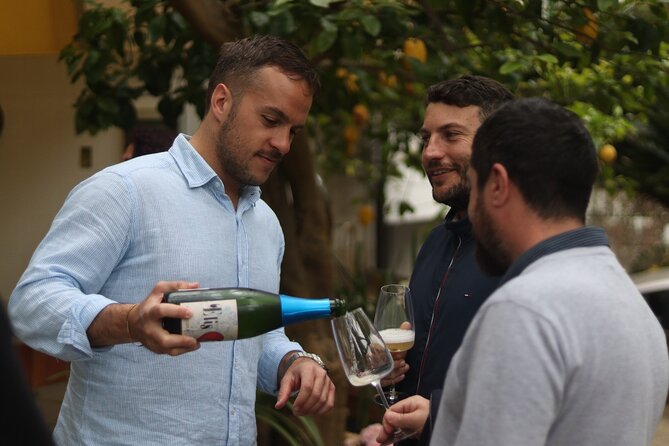 Sorrento Wine Tasting e Food Pairing Experience - Key things to know before you go