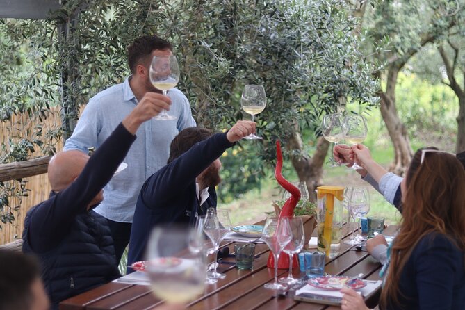 Sorrento Wine Tasting e Food Pairing Experience - Why Sorrento Garden Tastings Feel Different Than Bars