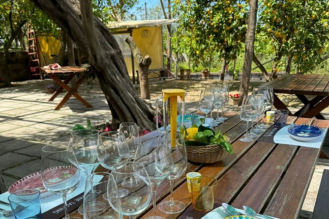 Sorrento Wine Tasting e Food Pairing Experience - Practical Details That Affect Your Day in Sorrento