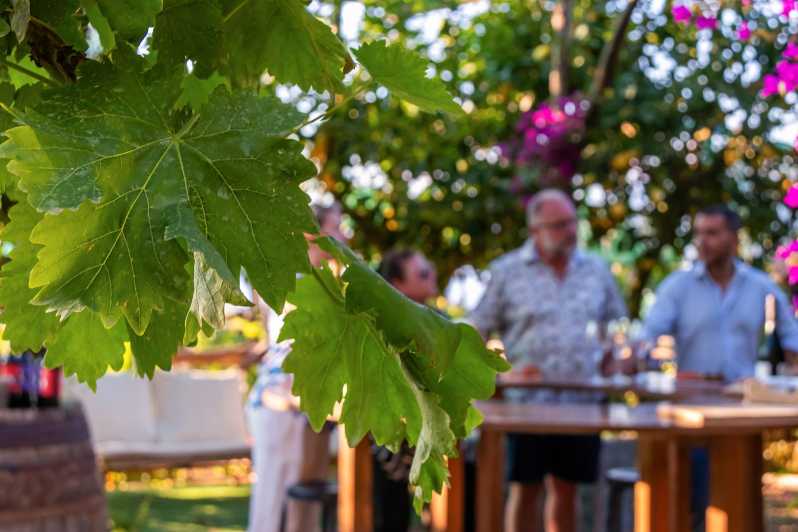 Sorrento: Wine Tasting Overlooking the Sea in a Lemon Grove - Key highlights worth planning around