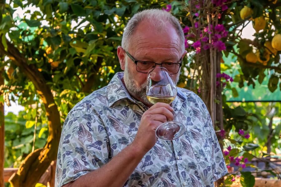 Sorrento: Wine Tasting Overlooking the Sea in a Lemon Grove - Should you book? My straight answer