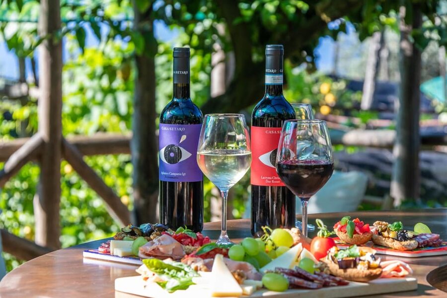 Sorrento: Wine Tasting Overlooking the Sea in a Lemon Grove - What you actually taste: 5 wines plus local pairings