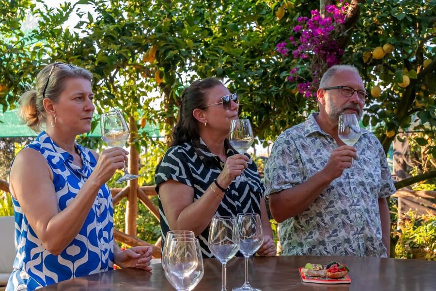 Sorrento: Wine Tasting Overlooking the Sea in a Lemon Grove - Price and value: is $112.15 a smart use of your time?