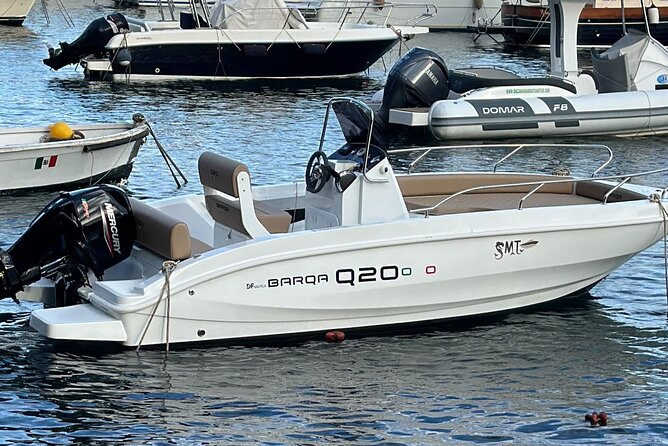 Sorrentomaxiboat tours to Capri - Price and value: is $965.46 per group fair?