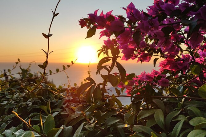 Sunset E-Bike Tour on the Sorrento Peninsula - Pedaling the Sorrento Coast toward Massa Lubrense and Marciano