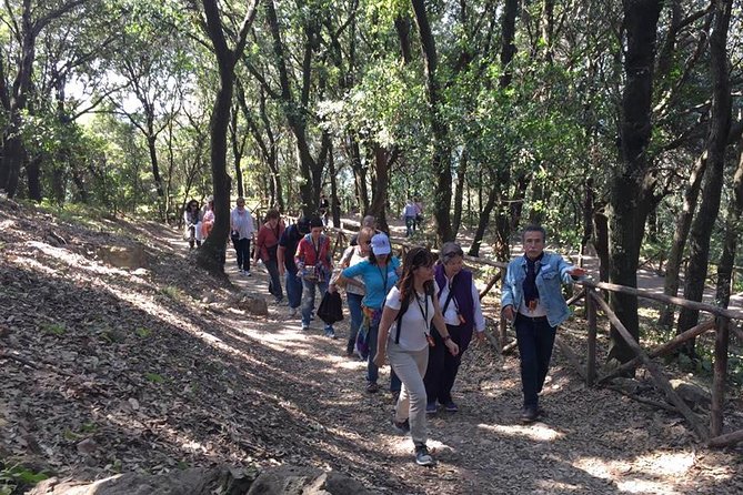 Tour in the ruins of Cuma with an archaeologist. - Price and logistics for a group up to 10 people