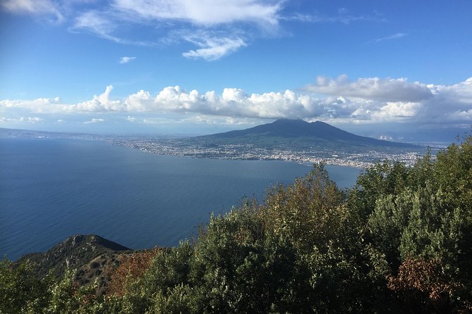 Transfer from Sorrento to Naples - Drop-Off in Naples: From Napoli Centrale to Your Next Address
