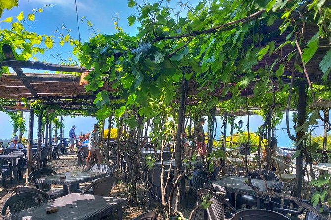 Vesuvius & Vineyard select from Sorrento - Toilet and wind realities: practical tips that save stress