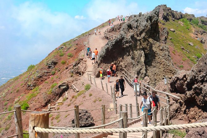 Vesuvius & Vineyard select from Sorrento - Should you book this Vesuvius and vineyard tour?