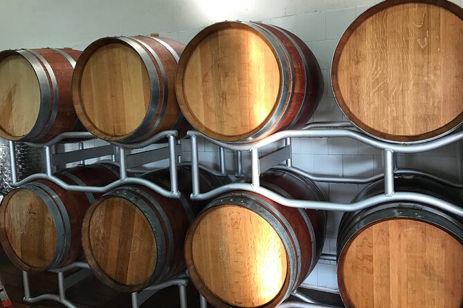 Vineyard experience in Pozzuoli - Stop 1, Pozzuoli Vineyard Walk: Where the Campi Flegrei Techniques Make Sense
