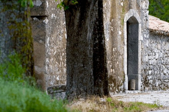 Visit to the cellar at the Feudi di San Gregorio da Sorrento - What Makes Feudi di San Gregorio From Sorrento Feel Premium