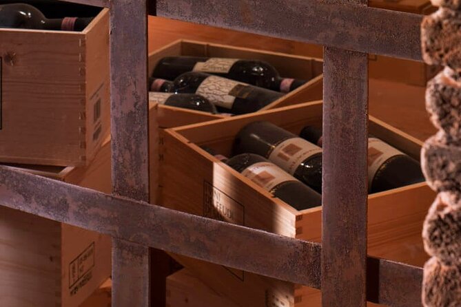 Visit to the cellar at the Feudi di San Gregorio da Sorrento - Transport, Tickets, and Small Logistics That Affect Comfort