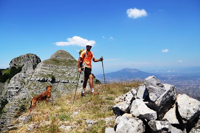 Walk around Faito Mountain, the Highest Point of the Amalfi Coast and Sorrento Peninsula - Key highlights you’ll actually care about