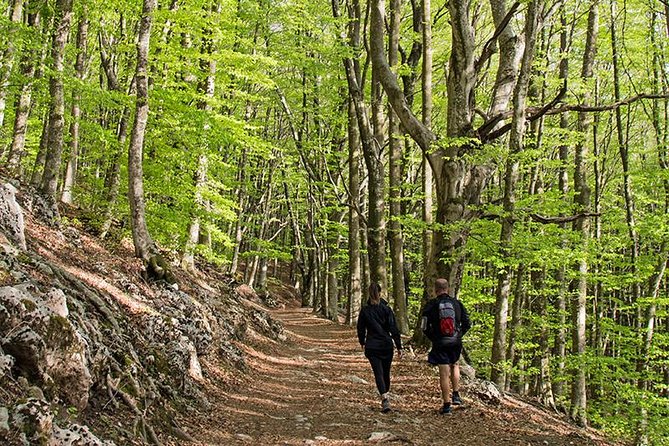 Walk around Faito Mountain, the Highest Point of the Amalfi Coast and Sorrento Peninsula - Monte Faito e Panorama: the guided climb and the science of views
