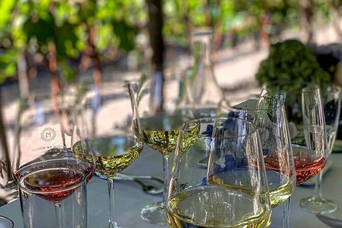 Wine Tasting Including Lunch - Vesuvius Winery Views and the Organic Approach to Grapes