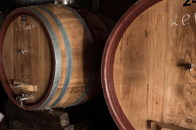 Wine Tour + Pompeii - Should you book the Wine Tour + Pompeii from Sorrento?
